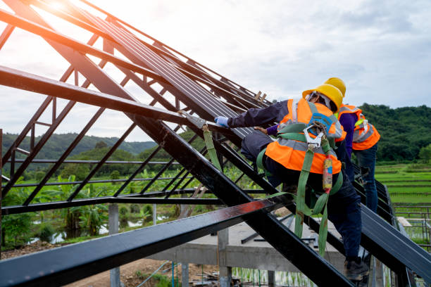 Best Roof Gutter Cleaning  in Hubbard, TX